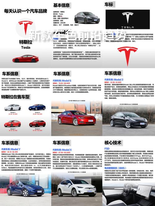 特斯拉哪个国家的品牌汽车／特斯拉哪个国家产品