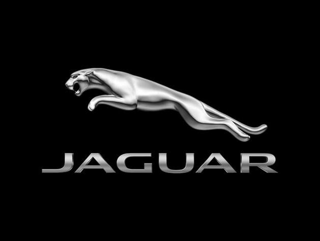 猎豹车,猎豹车标