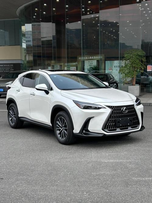 汽车推荐20万左右suv(20万左右的suv推荐2021年)