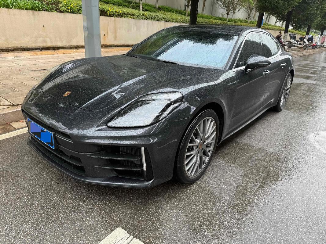 panamera中文名,panamera中文名叫什么